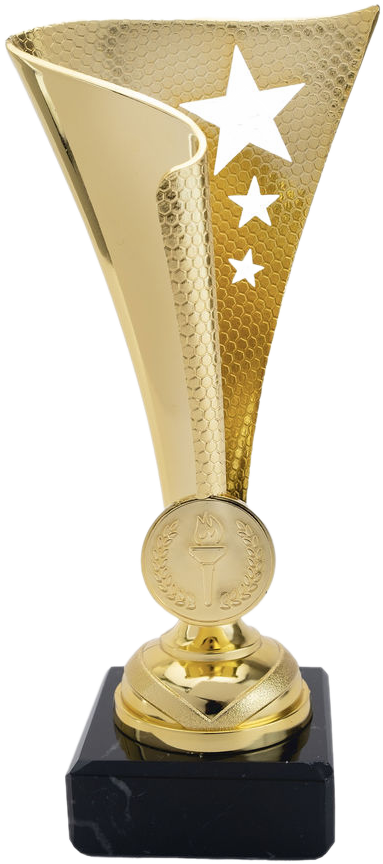 Group Stage Winner 2024